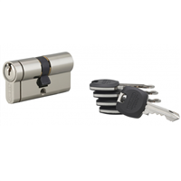 Cylindre haute sûreté Thirard HG5+ - profil européen - laiton nickelé - 5 clés - 30 x 30 mm