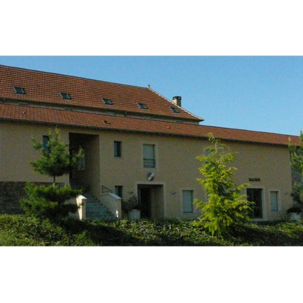 Tuile en terre cuite - Delta 10 Ste Foy - emboîtement grand moule faiblement galbée à relief - Rouge nuance