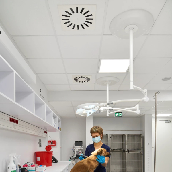 Dalle faux plafond 60 x 60 cm pour zones sèches et nettoyage régulier - Hygiene Meditec A - ép. 15 mm