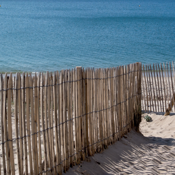Clôture ganivelle en bois de noisetier - lien en acier galvanisé - rouleau de 5,00 M - hauteur 0,90 M