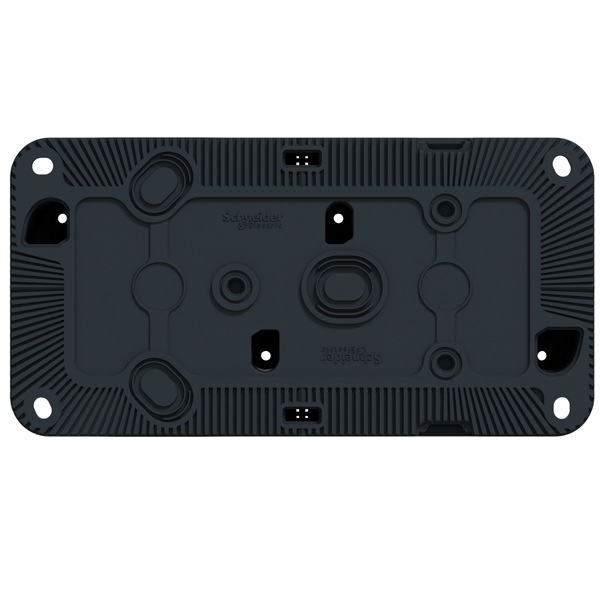 Boîtier pour 2 postes en saillie à l'horizontale Schneider Mureva Styl - IP55 - IK08 - gris anthracite RAL 7016