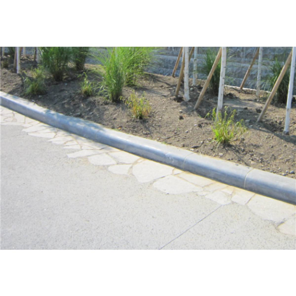 CANIVEAU CS1 PIERRE ARUDY 1M