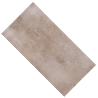 Margelle extérieure grès cérame émaillé rectifié effet béton Upnuance - 60 cm x 30 cm - ép. 20 mm - Earth