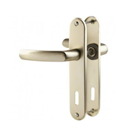 Ensemble poignée de porte à clé en L Vachette Budget - champagne - entraxe fixation 165 mm - carré 7 mm
