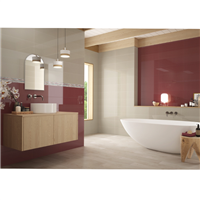 Faïence murale effet '"brillant" JOLLY Brillo - Topo 20 CMx60 CM