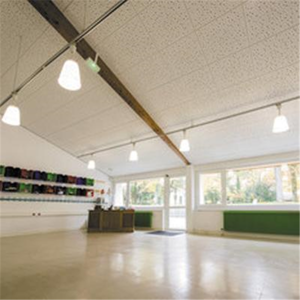 Dalle de plafond UNITY 8/15/20