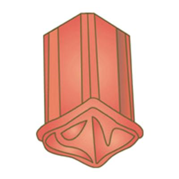 About d'arêtier à emboîtement grand modèle