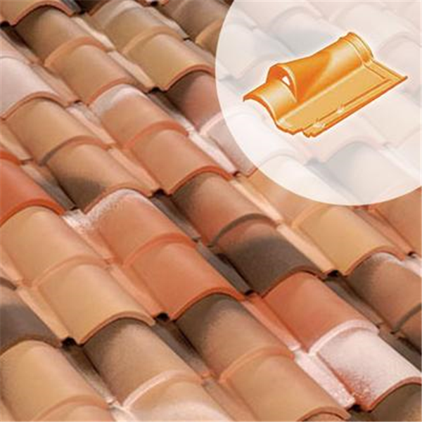 Tuile chatière - Romane Azur 61RZ - section ventilation 25 cm² - Vieux midi