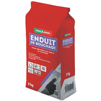 Enduit de rebouchage pour trous et fissures - Parexlanko - sac de