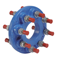 Bride de conversion DN 60 mm Bayard Série C4 40 - Standard Ville de Paris et ISO PN10/16