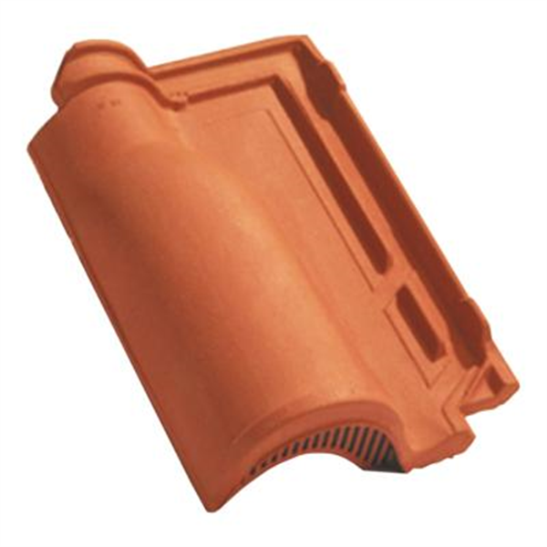 Tuile chatière en terre cuite - Romane Sans - section 21 cm² - Terroir