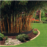 RACISTOP PRO PEHD 1MM  2X30     M2