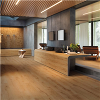 Carrelage intérieur en grès cérame rectifié effet bois Exence - 120,0 CM x 20,0 CM - ép. 9,00 MM - Amber