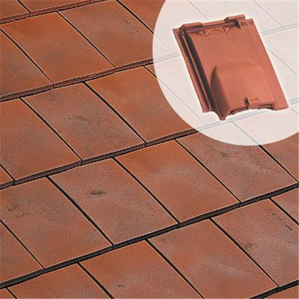 Tuile chatière Arboise Rect