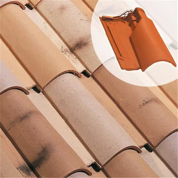 Tuile chatière en terre cuite - Oméga 10 - section aération 33 cm² - Mistral