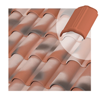 Faîtière circulaire Tejas Borja pour tuile mécanique et canal - coloris Nature Manoir - 430 MM x 230 MM