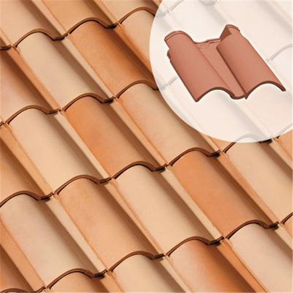 Double tuile Feriane - SO010