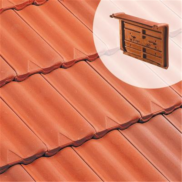 Tuile de rive universelle 1051