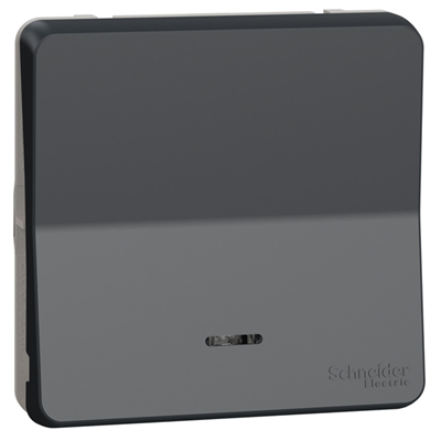Interrupteur va-et-vient lumineux Schneider Mureva Styl - LED bleue - IP55 - IK08 - gris anthracite - 10AX 250V