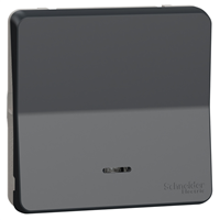 Interrupteur va-et-vient lumineux Schneider Mureva Styl - LED bleue - IP55 - IK08 - gris anthracite - 10AX 250V