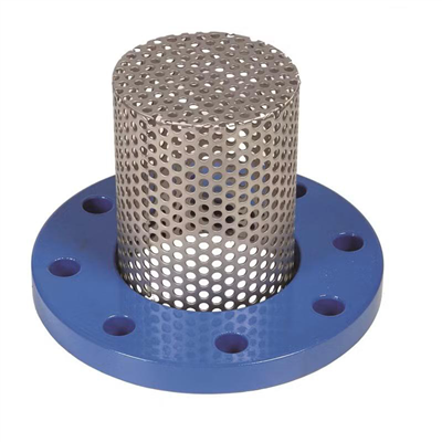 CREPINE INOX O6mm DN 80 PN 10