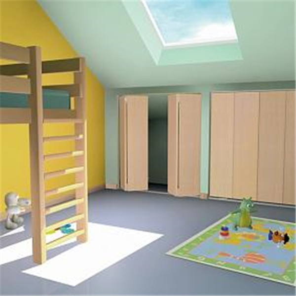 Rail 5300 en aluminium longueur 2.0 mètres