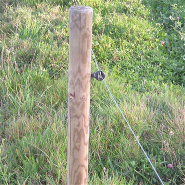 Piquet en Pin épointé et chanfreiné - Diam. 60 mm - Traité Classe 4 Vert - L.1,50 M