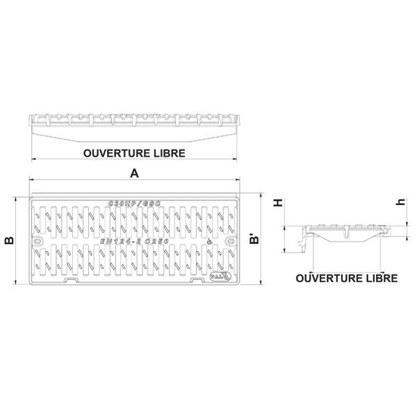 Grille avaloir en fonte avec cadre renforcé C250 PMR - 768 x 320 mm - Hauteur 100 mm