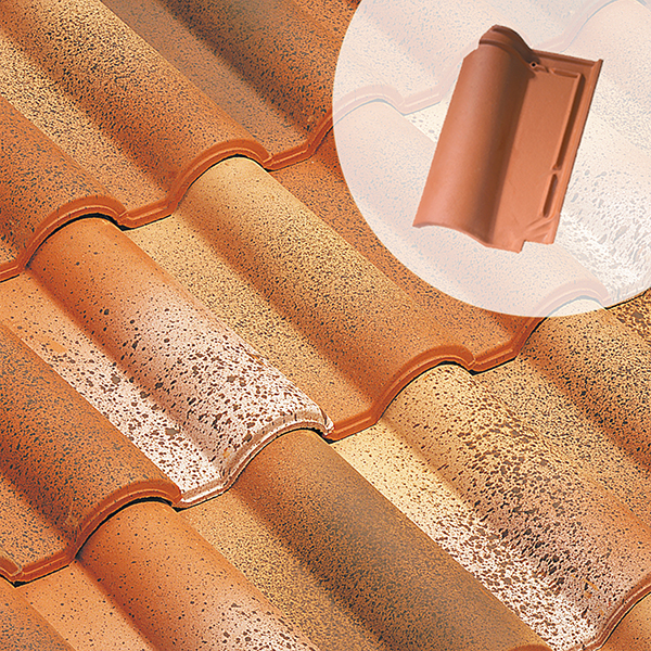 Tuile en terre cuite - Romane Sans - double emboîtement grand moule fortement galbée - Paysage