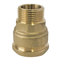 Raccord laiton droit SUMO pour tube PE Ø25 mm - Mâle 1/2