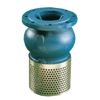 CPC F302.DN 150.PN 10.