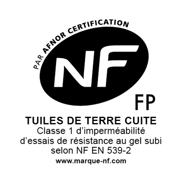 Tuile fortement galbée Horizon 12 Terreal - Ton mêlé Atlantique - 45,8 x 30 cm
