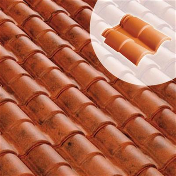 Double rive + clip Romane Canal