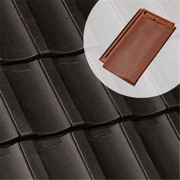 Tuile d'architecte en terre cuite - Santenay Terreal - grand moule du nord - Ardoise