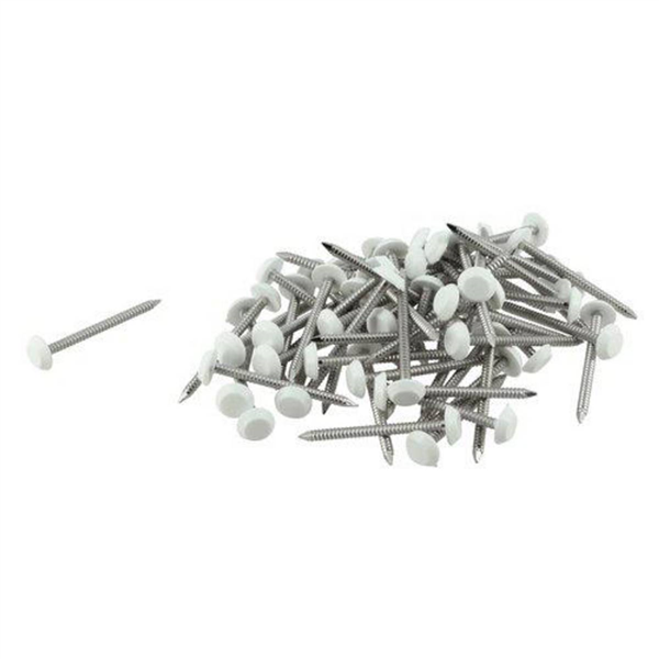 CLOU INOX EMBOUT PLASTIQUE LG.40MM BLANC