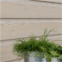 Bardage bois peint en Sapin du Nord de classe 3.1 - Protect Silverwood - Profil Oscillo XXL - 26,00 MM x 122,00 MM - Long. 4,45 M - Coloris Cendre