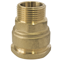 Raccord PE droit en laiton à sortie mâle 1/2" pour tuyau Ø 25 mm