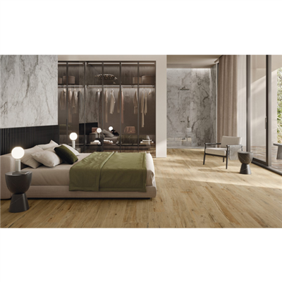 Carrelage sol intérieur effet bois - Jasper Grip - grès cérame - 23,0 CM x 100,0 CM - ép.9,00 MM - Branch