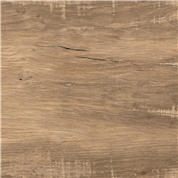 Carrelage sol intérieur effet bois WoodGénération Edilis - 120 CM x 20 CM - ép. 9.5 MM - Miel