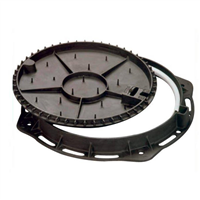 REGARD VISITE d600 CAD ROND A REMPLIR NU JONC PE