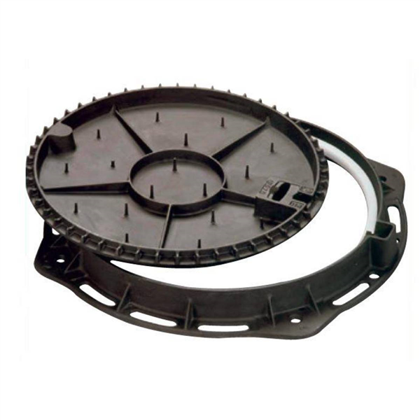 REGARD VISITE d600 CAD ROND A REMPLIR NU JONC PE