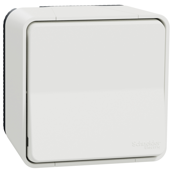 Interrupteur poussoir en saillie Schneider Mureva Styl complet - IP55 - IK08 - blanc - 10A 250V