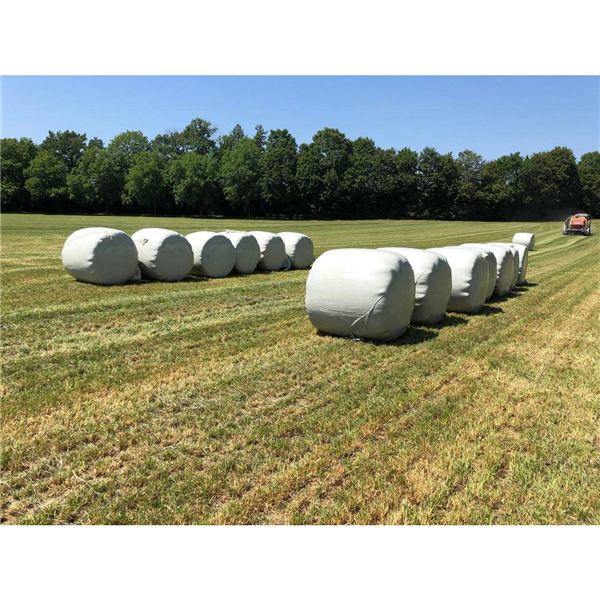 FILM ENRUBAN VERT ANT.NUIS 75X1,5