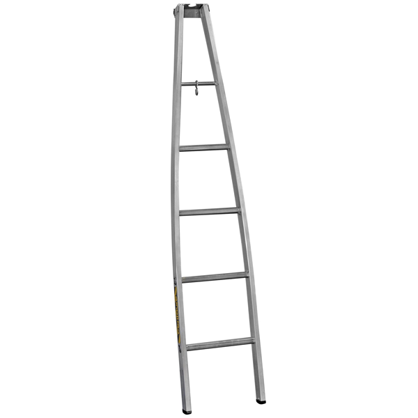 Échelle de nettoyeur de vitre Centaure - aluminium - 1 plan - hauteur 175 cm - 150 kg max