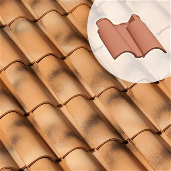 Double tuile Feriane - SO010