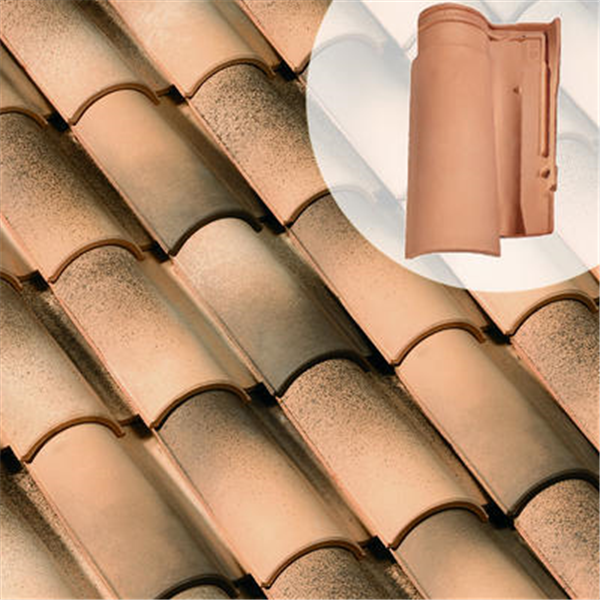 Tuile Galléane 12 en terre cuite - grand moule à fort galble - Toits du Sud