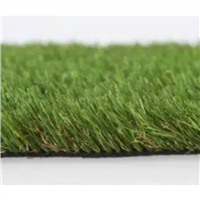 GAZON OXFORD S/MESU 30M /       M2