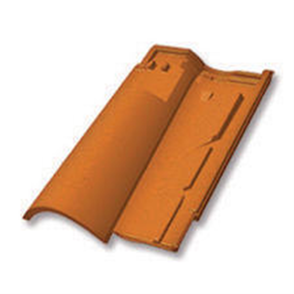 Tuile chatière - Horizon 12 ou Latitude 12 - 61LD - Vieilli castel