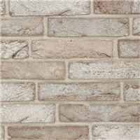 Plaquette de parement extérieur terre cuite moulée main Terca Eco-brick Nubilum Greige clarus - Wienerberger - 215,0 MM x 65,00 MM x 22 MM