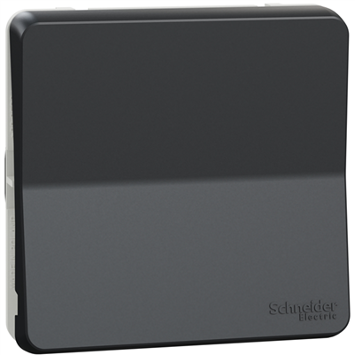 Interrupteur bouton-poussoir Schneider Mureva Styl - IP55 - IK08 - gris anthracite - 10A 250V